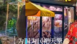 礼赞英雄
