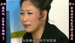 庐剧《老夫少妻又名大爷爷小奶奶》1-2总六集全集下载 - 经典庐剧资源 庐剧《老夫少妻又名大爷爷小奶奶》1-2总六集全集下载 - 经典庐剧资源