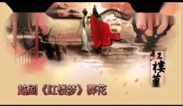 越剧《红楼梦》黛玉葬花选段下载，王文娟经典演绎，细腻唱腔诠释黛玉情愁下载
