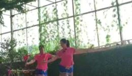 桂林彩调《十月花》高清完整版下载 来宾大英文艺队精彩演绎地方经典