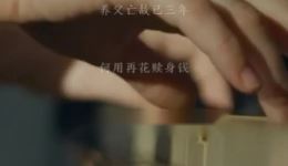 高安采茶戏《文武状元》之《千呼万唤》片段下载，经典戏曲在线获取