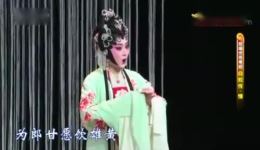 白蛇传情