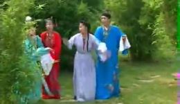 庐剧《苦命的儿子》全集下载｜孙道华主演六集经典，家庭伦理大戏在线获取下载