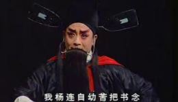 八件衣·杨廉悔路