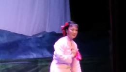 评剧《小女婿.小河流水》周丹演唱经典片段，感受传统戏曲独特韵味
