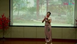 新桥沪剧团演出专场传统与创新沪剧荟萃,沉浸式戏曲视听盛宴在线下载 新桥沪剧团演出专场传统与创新沪剧荟萃,沉浸式戏曲视听盛宴在线下载