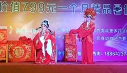 泪洒相思地豫剧全场戏下载，李金枝主演古装悲剧经典资源下载