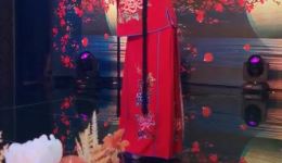 晋剧《二姐姐》选段下载 - 田威虎演唱经典戏曲选段资源下载
