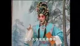 花染狀元紅