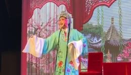 经典锡剧《珍珠塔》哭塔选段，陆秀芳深情演绎，在线观看下载