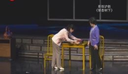 银杏树下