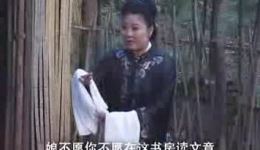 庐剧《梁山伯与祝英台》第1集在线观看 刘马林昂朝霞主演经典戏曲高清资源下载