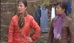 庐剧《喜迎门》全集下载_刘长芬孙晓云主演_1-2集总四集完整版资源下载