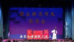 婺剧经典《离别了，青龙山》在线下载，陈更新演绎《三请梨花》精彩片段