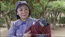 玉琴嫂