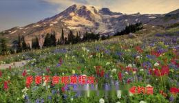淮剧《梁祝》楼台会上部选段卡拉OK伴奏资源，经典戏曲在线下载