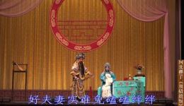河北梆子《双错遗恨》全剧实况字幕版下载,张翠香主演经典戏曲资源 河北梆子《双错遗恨》全剧实况字幕版下载,张翠香主演经典戏曲资源