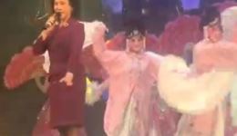 李金枝演唱豫剧《越调风华.粉墨春秋》下载 - 经典戏曲资源在线获取