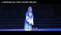 2017·戏相逢中国锡剧界艺术盛会锡剧名家齐聚，共赴锡剧文化盛宴