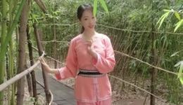 豫剧《同根异果》王玉凤演唱经典选段，家庭伦理题材戏曲在线下载