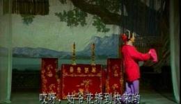 闽剧《和尚讨亲》第2集在线观看林忆莲、张建斌精彩演绎市井喜剧下载