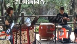 婺剧《红梅满园香》黄秀芳白石湾演唱片段，经典唱腔演绎传统韵味，在线聆听