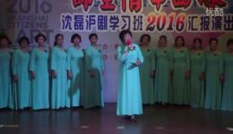 沈磊沪剧学习班2016汇报演出《师生情 申曲缘》高清沪剧视频下载