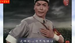 革命现代京剧《沙家浜》全剧1971字幕版下载 - 谭元寿等主演经典样板戏资源