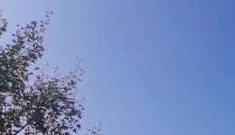 秦腔《玉堂春》伴奏下载 - 含泪前行经典唱段 张宁肖玉玲原声下载
