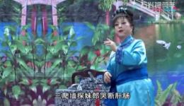吕玉娟沪剧演唱会玉音郎朗唱申曲，娟语声声传乡韵，沪剧经典现场下载！下载