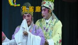广东粤剧《胡不归》倪惠英梁耀安主演全场字幕完整版下载下载