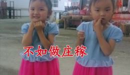 民间小调《望郎十二月》在线下载,经典十二月望郎小调资源,速取! 民间小调《望郎十二月》在线下载,经典十二月望郎小调资源,速取!
