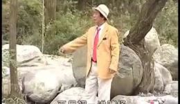 秦腔名家张新尚个人专场眉户经典《张连卖布》《张连赎妻》《鳏夫哭坟》在线观看下载