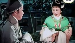 越剧经典《追鱼》徐玉兰王文娟主演，神话爱情戏曲佳作在线下载下载
