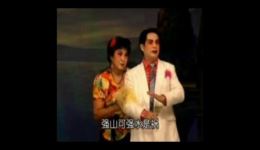 琼剧《大义灭亲》精选韩悟光洪雨经典演绎，正义与亲情的震撼碰撞