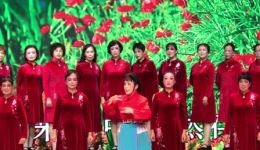 红色的种子.我是一颗革命的种子
