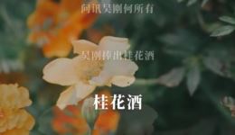 苏州评弹《蝶恋花·答李淑一》中慧独唱 经典诗词改编 革命情怀戏曲下载
