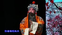 梅妃