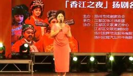 扬剧《挑女婿》《洪湖赤卫队》选场下载 - 孙爱民周秋生苏春芳主演经典戏曲资源下载