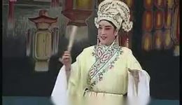 赵美容观灯