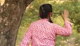 李双双  母子姻缘
