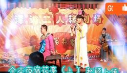二人转正戏全本《夜宿花亭》杨阳小东邪演唱，经典东北地方戏资源下载