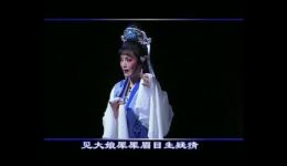 越剧《玉蜻蜓》全剧高清下载|王君安李敏联袂主演,经典伦理大戏在线获取 越剧《玉蜻蜓》全剧高清下载|王君安李敏联袂主演,经典伦理大戏在线获取