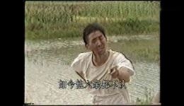 茂腔《俩老头》全剧下载 - 山东茂腔经典全场资源，高清戏曲视频免费获取