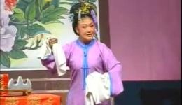 双婚配