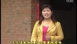 公公婆婆看家狗