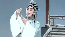 黄梅戏《双玉蝉》全剧下载 - 经典戏曲资源在线观看 黄梅戏《双玉蝉》全剧下载 - 经典戏曲资源在线观看