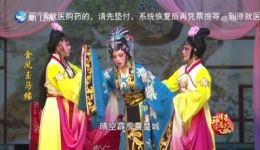 金凤玉马缘