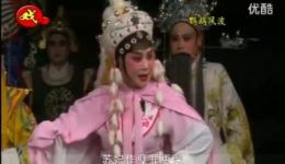 鹦鹉风波