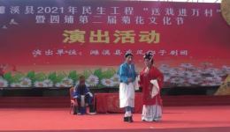 豫剧古装戏《三拜花堂》全场戏高清资源下载,经典戏曲完整呈现 豫剧古装戏《三拜花堂》全场戏高清资源下载,经典戏曲完整呈现